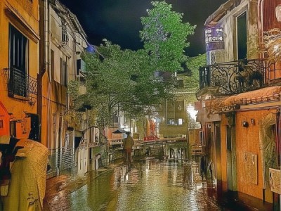 义乌之星商贸，负面新闻背后的警示