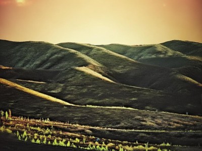 贵州现代商贸服务园西南地区