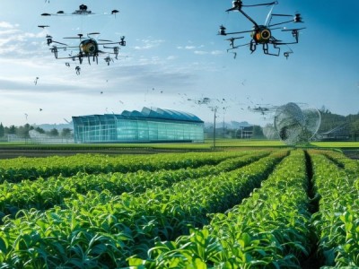 智慧农业与数字赋能，陕北地区的创新与未来展望