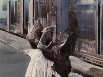 黄浦区品牌商贸服务，助力数字转型与创新发展