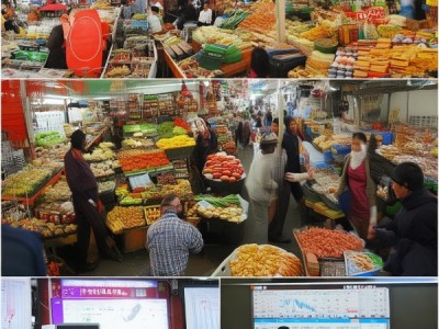 曲靖商贸市场新闻，市场动态与趋势分析