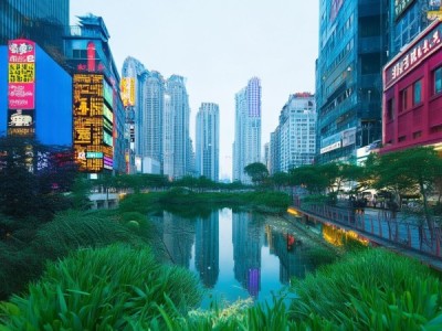 上海商贸新闻，商业与自然的和谐共生背后的深层魅力