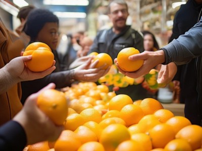 橘子service商贸，服务驱动的商业奇迹
