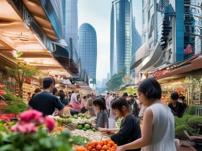 岳阳国际商贸城，品质生活，未来展望