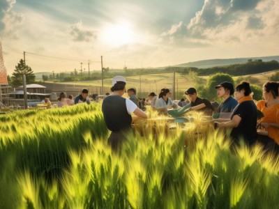 绥中商贸面食加工项目，种植与创新的机遇
