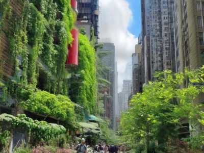 绿色商贸服务业，机遇与挑战