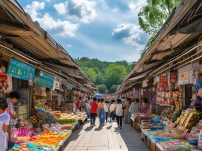 线下商贸市场案例，构建高效商业生态的路径