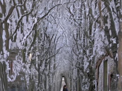 菏泽欣欣商贸开启新商业篇章