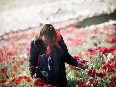 explosion of商贸服务业助力高质量经济