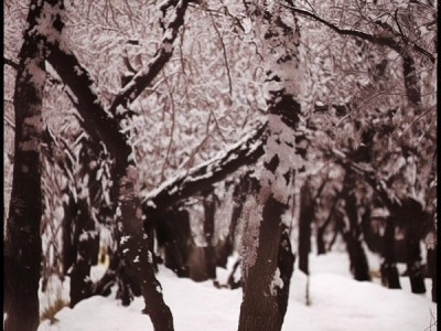 沈阳外事服务学院商贸，助力区域经济发展