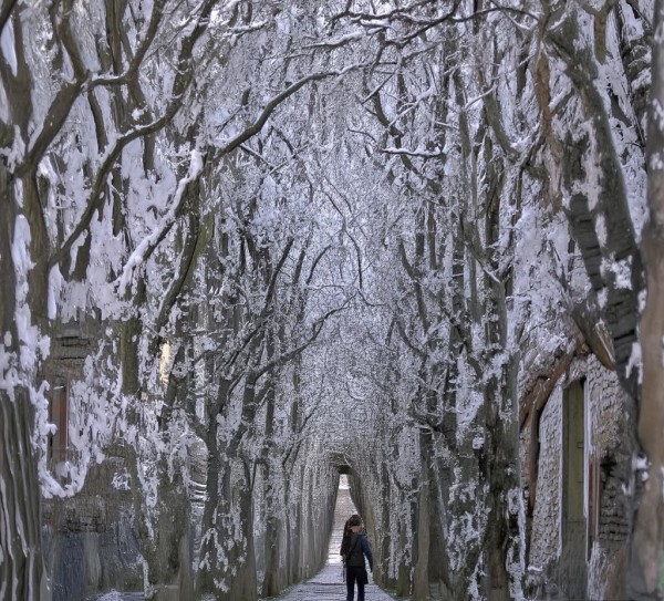 菏泽欣欣商贸开启新商业篇章