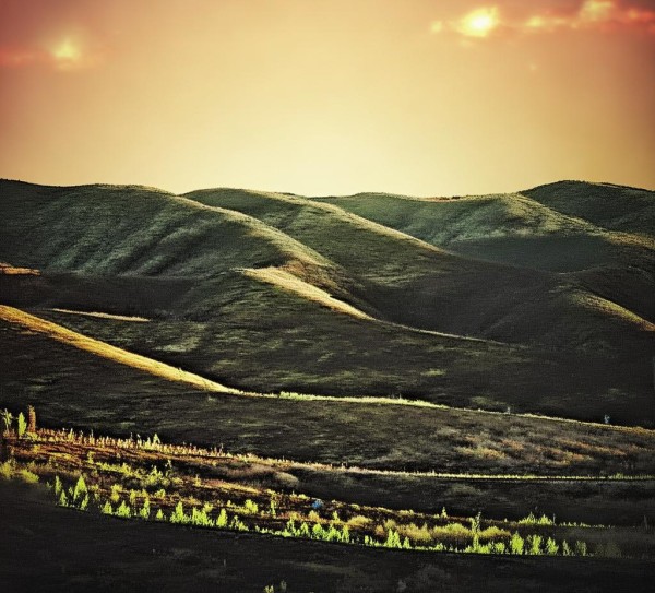 贵州现代商贸服务园西南地区