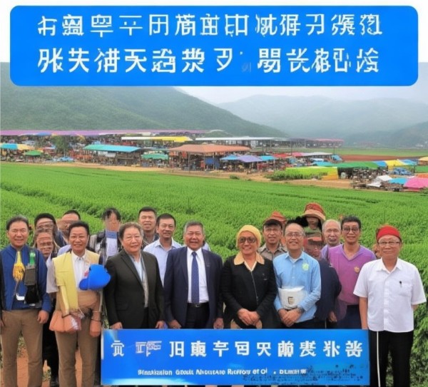 佳县商贸局助力乡村振兴，开启乡村振兴新篇章