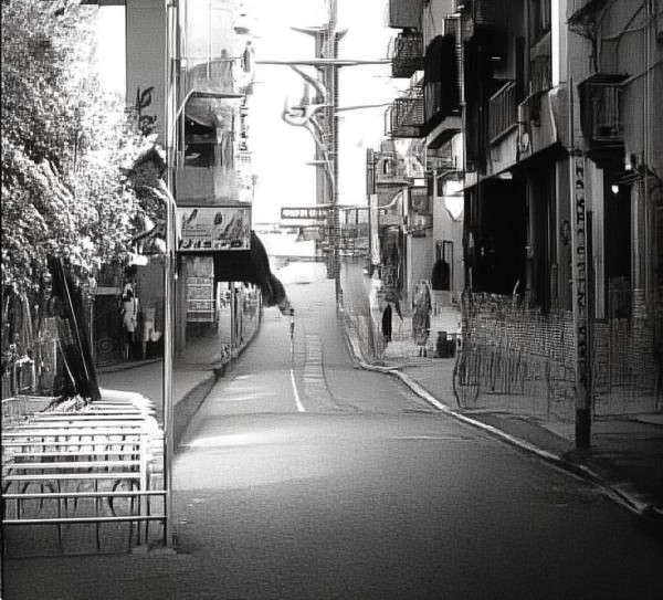 绥化安达商贸，机遇与挑战并存，未来或许更辉煌！