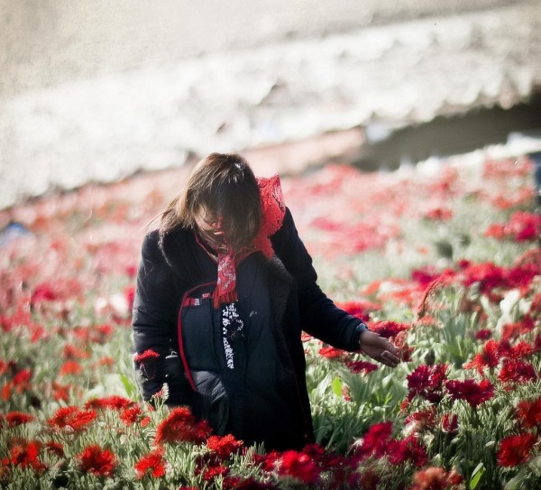 explosion of商贸服务业助力高质量经济