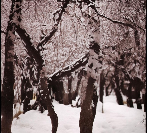 沈阳外事服务学院商贸,助力区域经济发展 沈阳外事服务学院商贸,助力区域经济发展